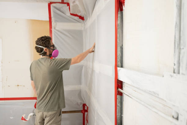 Professional Mold Removal in Doniphan, MO